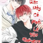 Cảm giác này có phải là yêu không!?